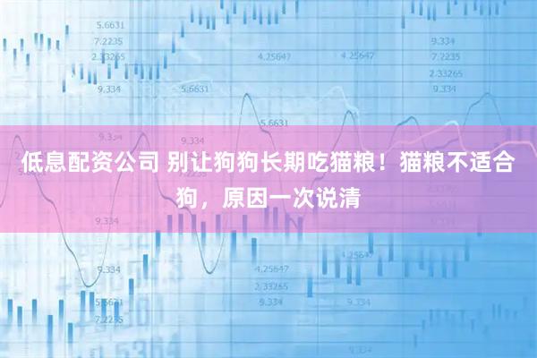 低息配资公司 别让狗狗长期吃猫粮！猫粮不适合狗，原因一次说清