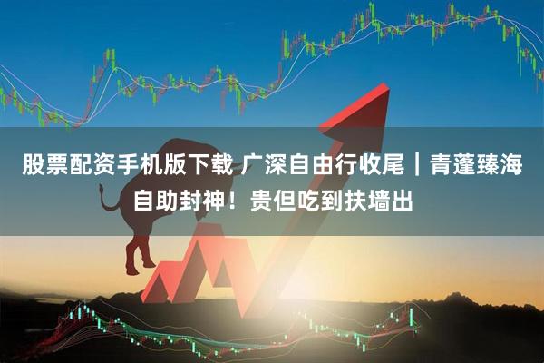 股票配资手机版下载 广深自由行收尾｜青蓬臻海自助封神！贵但吃到扶墙出