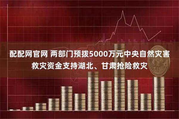 配配网官网 两部门预拨5000万元中央自然灾害救灾资金支持湖北、甘肃抢险救灾